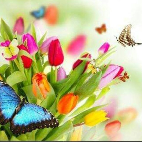 Meet your Posher, Graciela - Picture 1 of 1